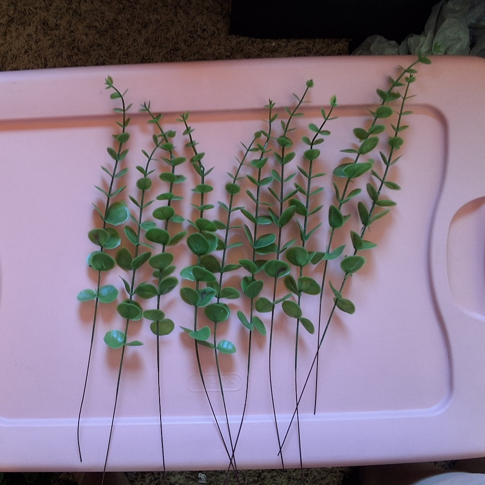 Artifical eucalyptus.